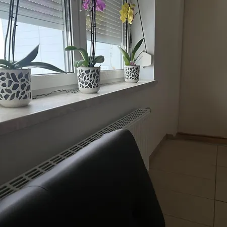 2 Zimmer Mit Bad Und Wc Teilen *