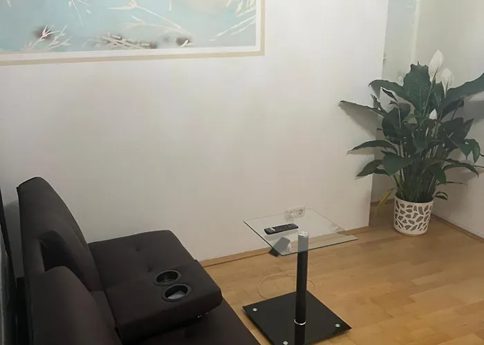 2 Zimmer Mit Bad Und Wc Teilen Apartment Linz