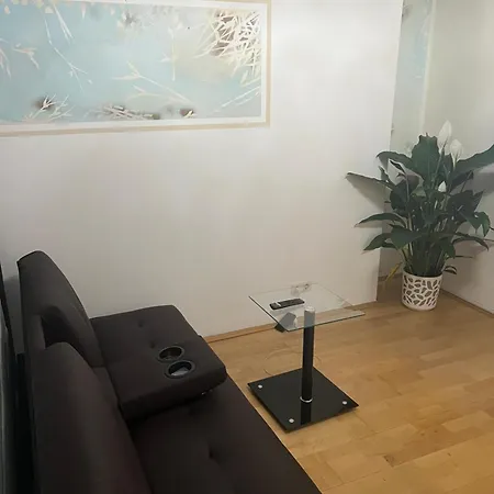 2 Zimmer Mit Bad Und Wc Teilen Appartamento Linz